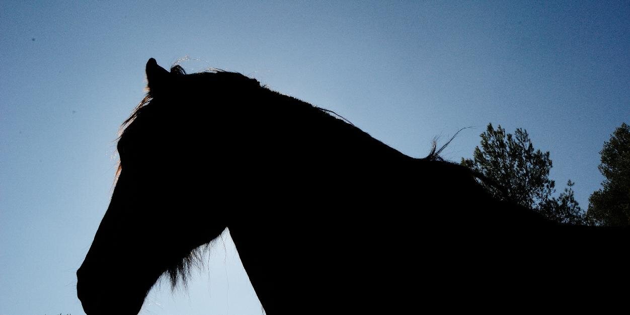 CHlaFou's profile banner image