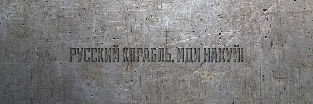 Котр Бергамотр 🐱☕ banner