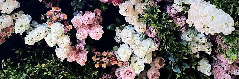 jayceemaegan's profile banner image