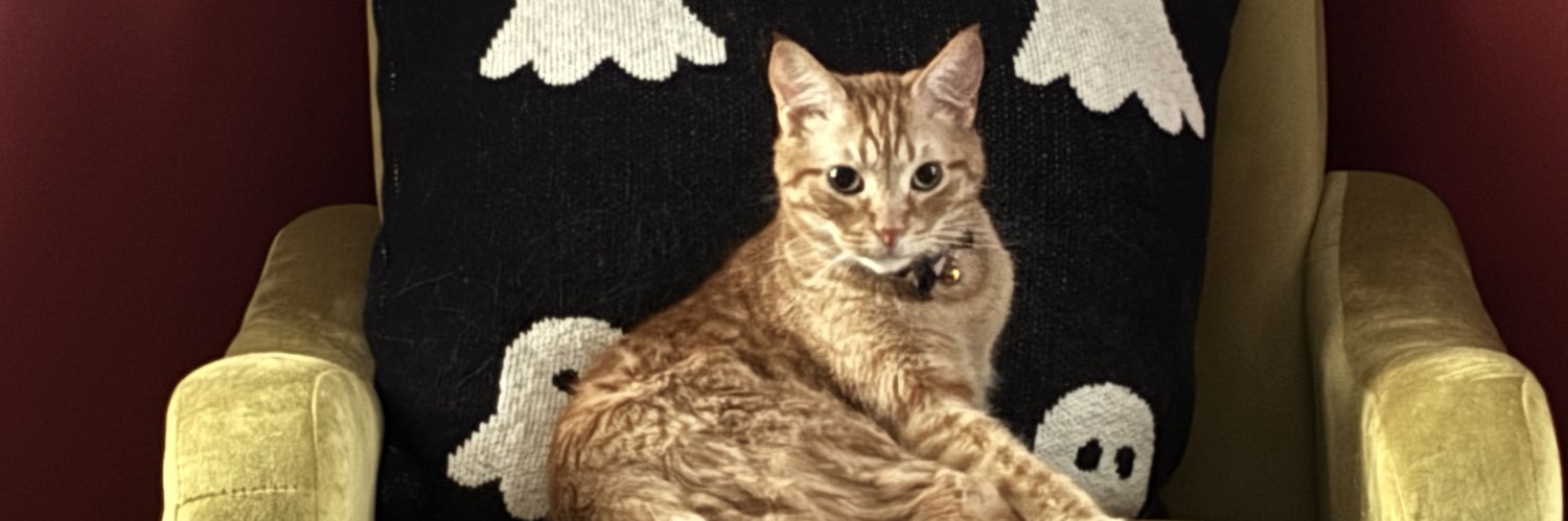 adcurton's profile banner image