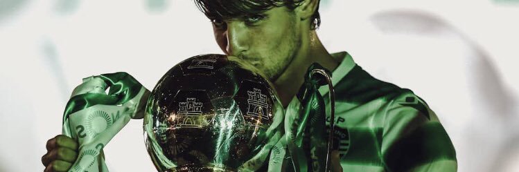 Pauleta69's profile banner image