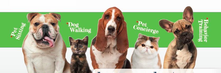Happy Paws Boston banner