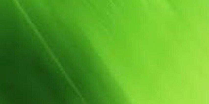 Vox_lerida_'s profile banner image