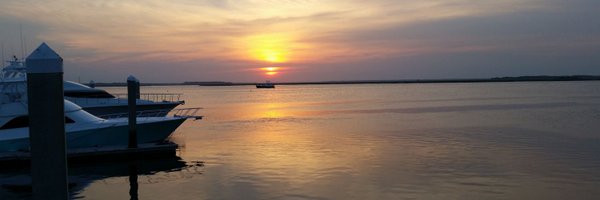 mpognant Profile Banner