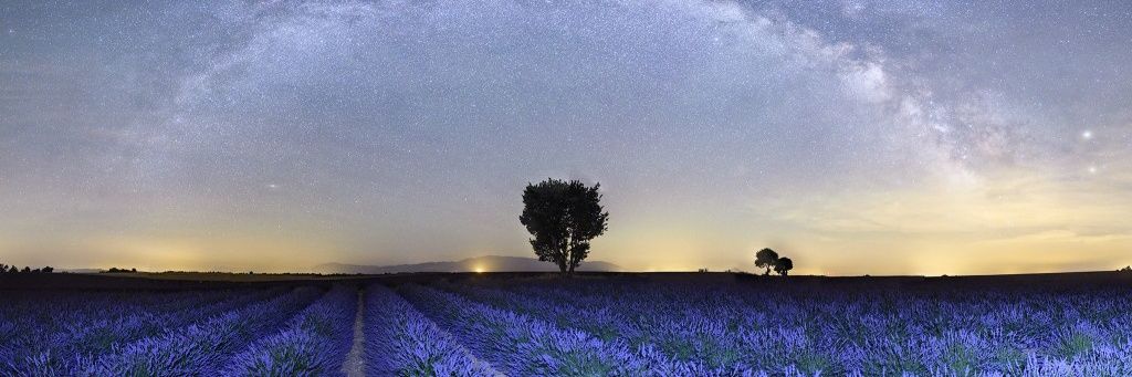 yadavln's profile banner image