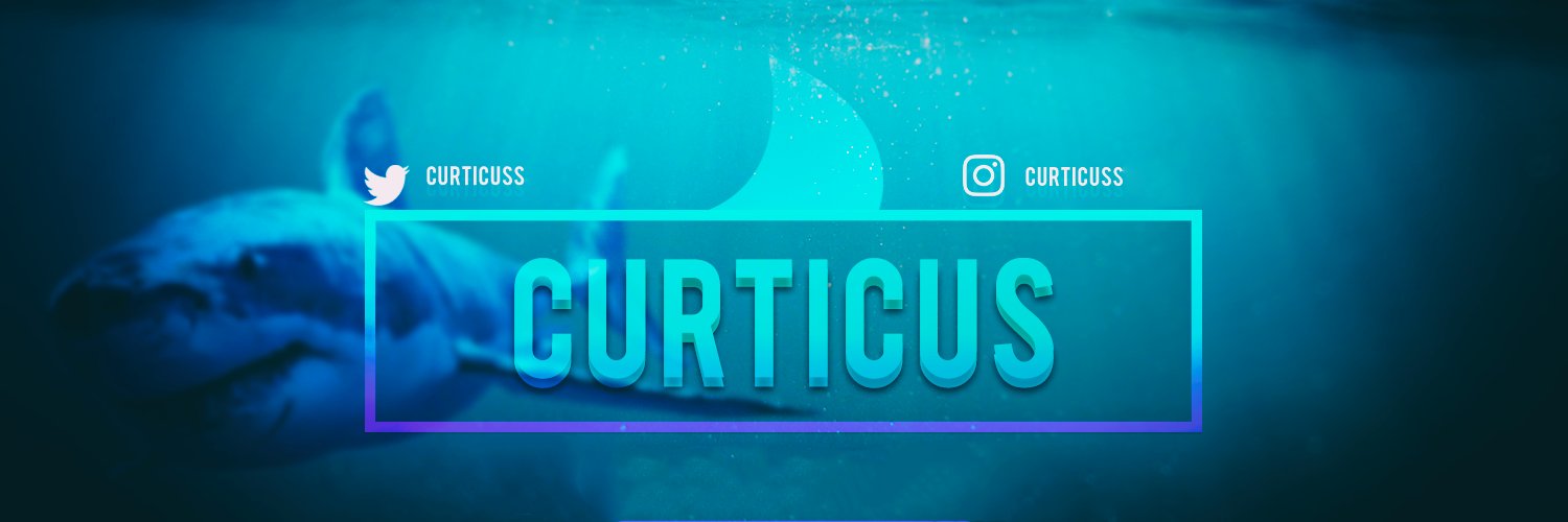 curticuss's profile banner image