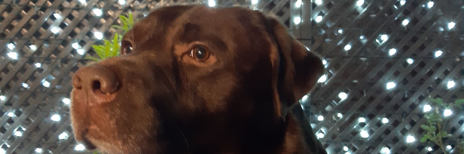 CarsonMUFC's profile banner image