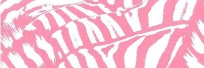 erin's banner