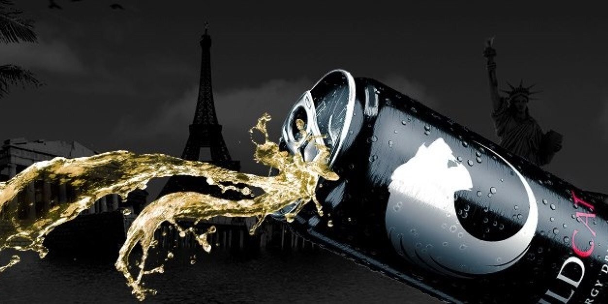 WildCatUSA's profile banner image