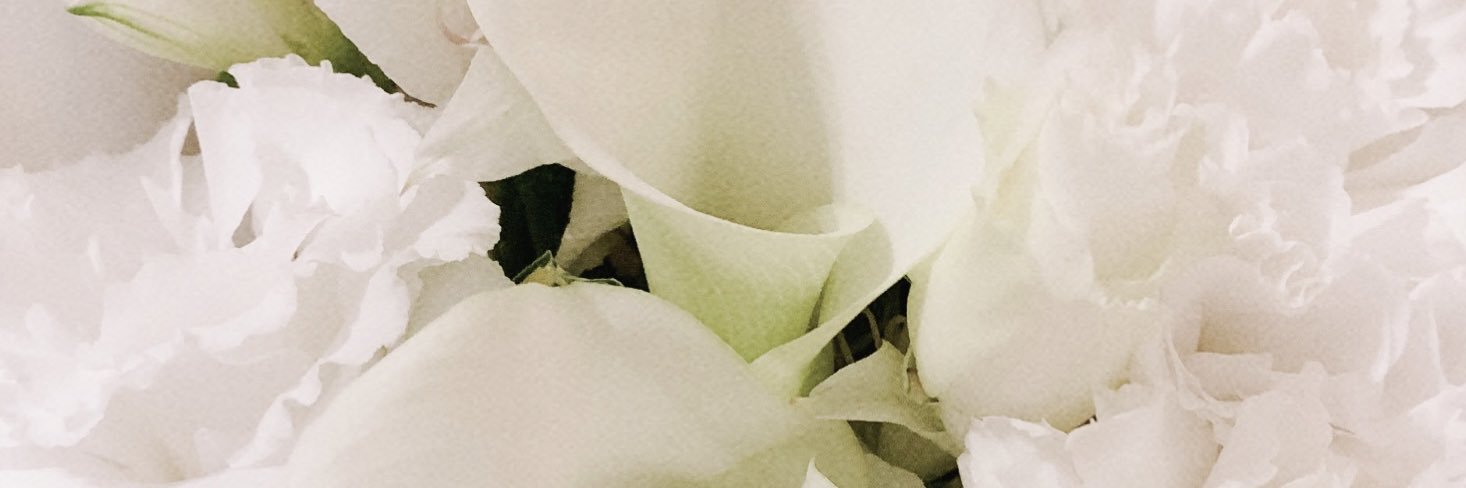 _ydc_official's profile banner image