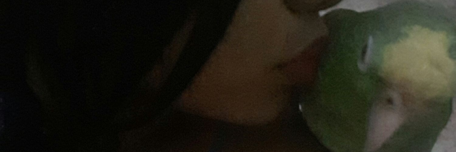 luffi0804's profile banner image