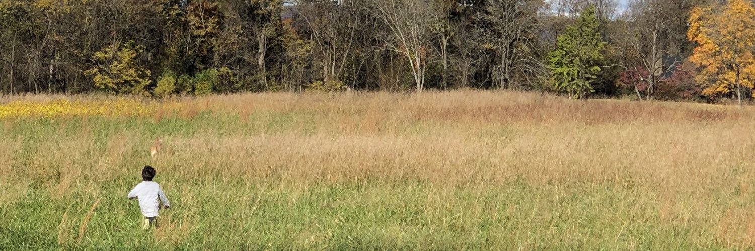 Vikram J. Singh banner