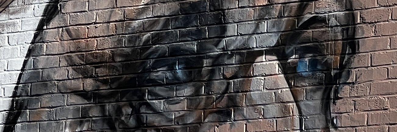 (((bex))) free palestine banner