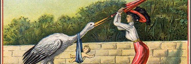 ☽ Shirley J. // 셜리 ☼ banner