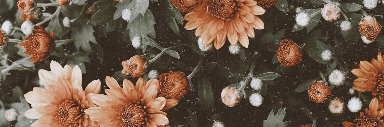 isaandolz's profile banner image
