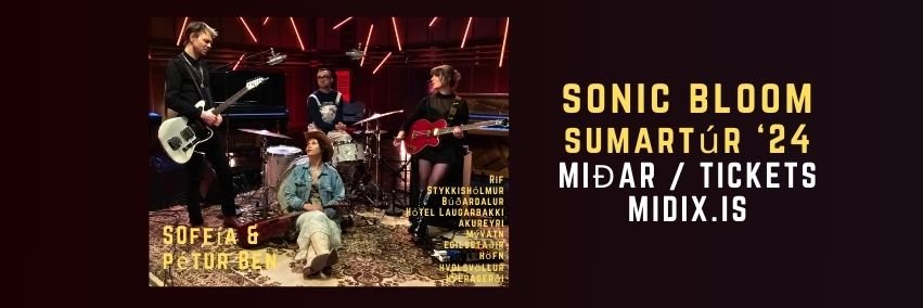 SoffiaMusic's profile banner image
