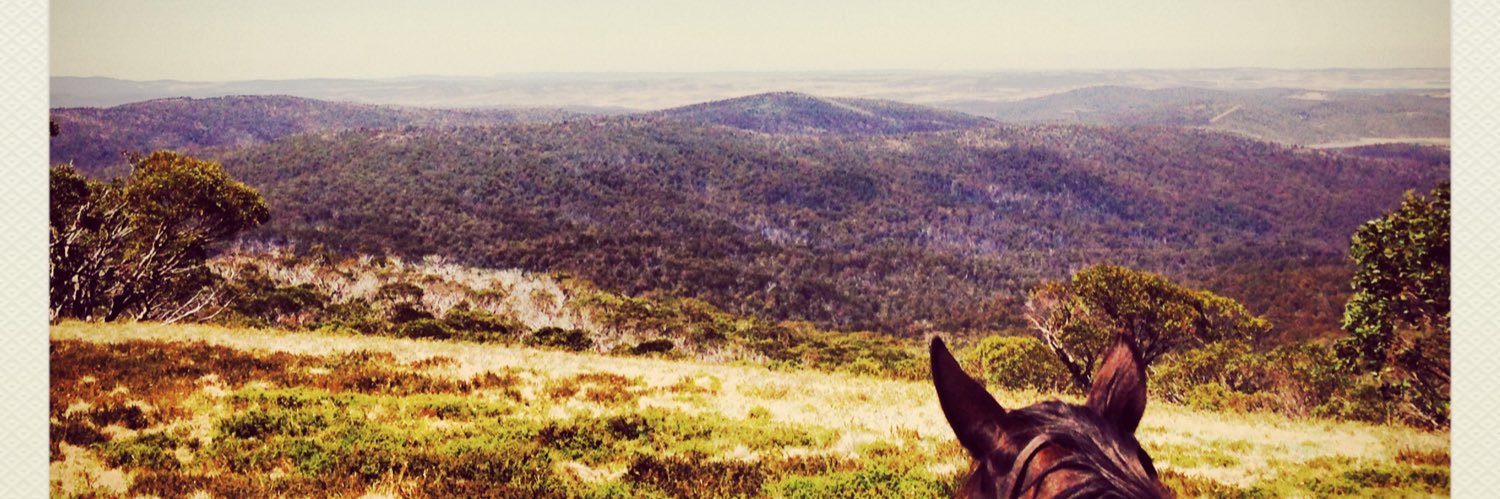 katfleay's profile banner image