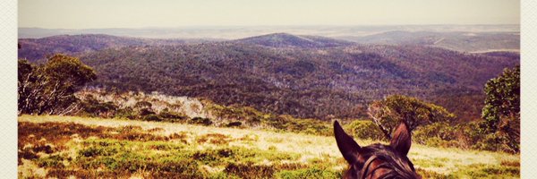 katfleay Profile Banner