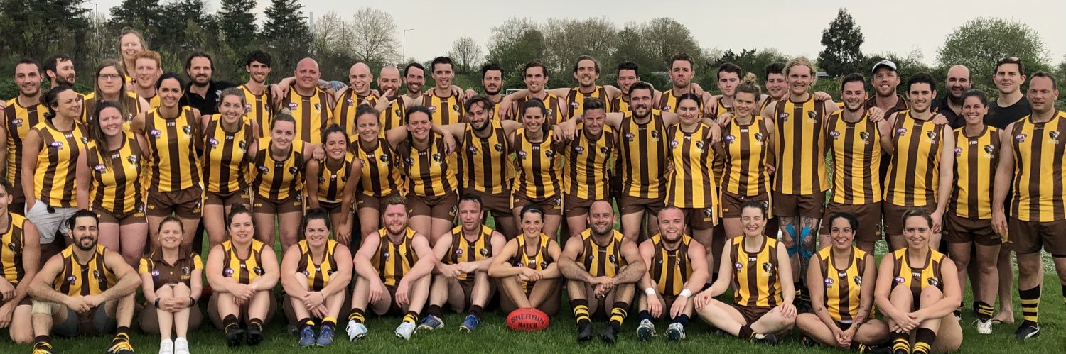 Wimbledon Hawks AFL banner