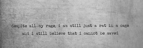 ˹Ƒro Doe˼ 🇪🇺 banner