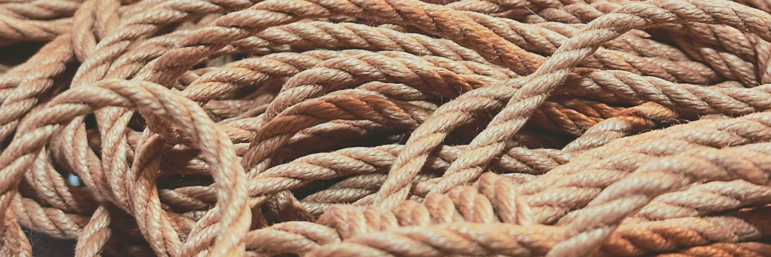 Sansui_Shibari1's profile banner image