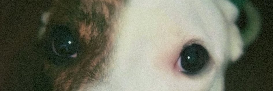 israelramirezx's profile banner image