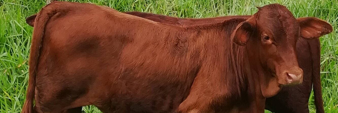 Paco_1958's profile banner image