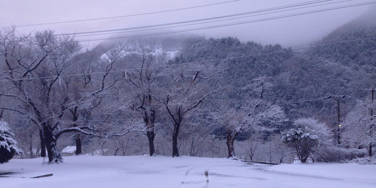 いーのっく banner