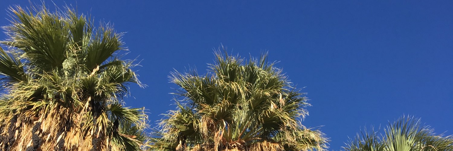 Michelle simon banner