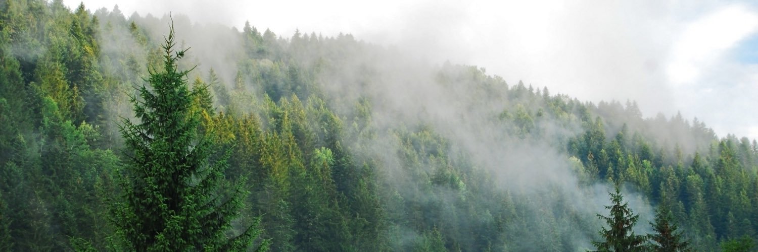 ChiefKiess's profile banner image