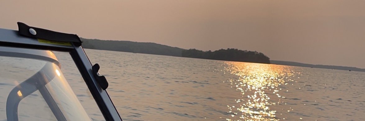 Austin banner