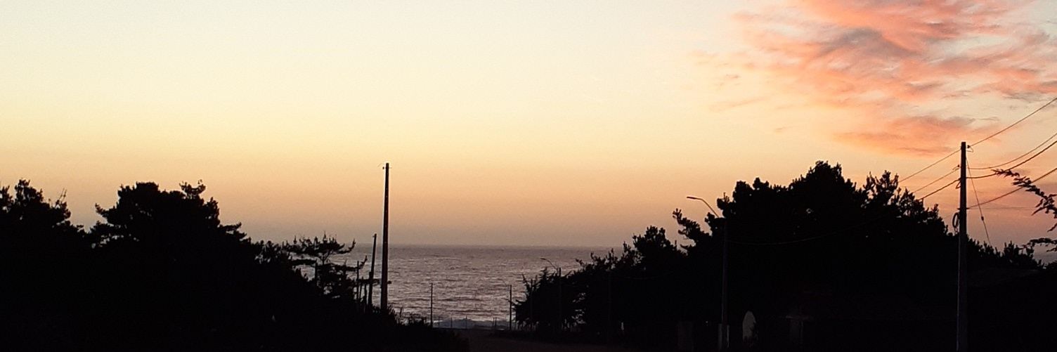 joyarzun290's profile banner image