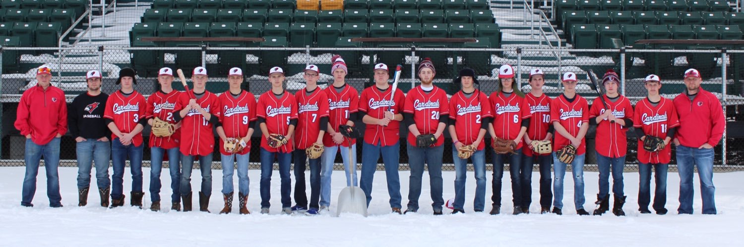Willmar Baseball banner