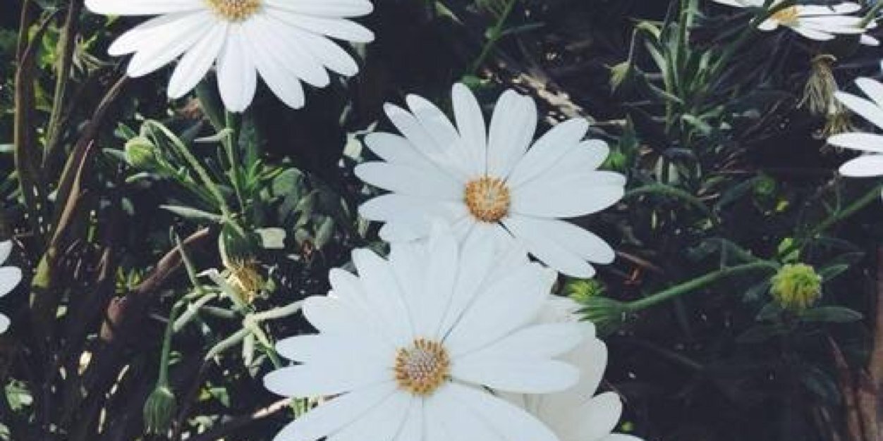 ItsLindyyWatson's profile banner image
