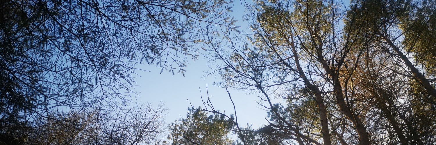 ja9wilson's profile banner image