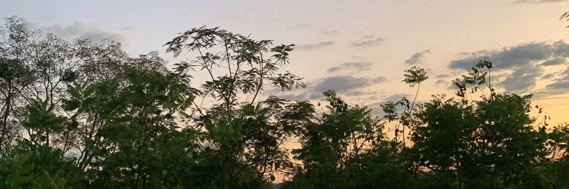 thaloaz's profile banner image