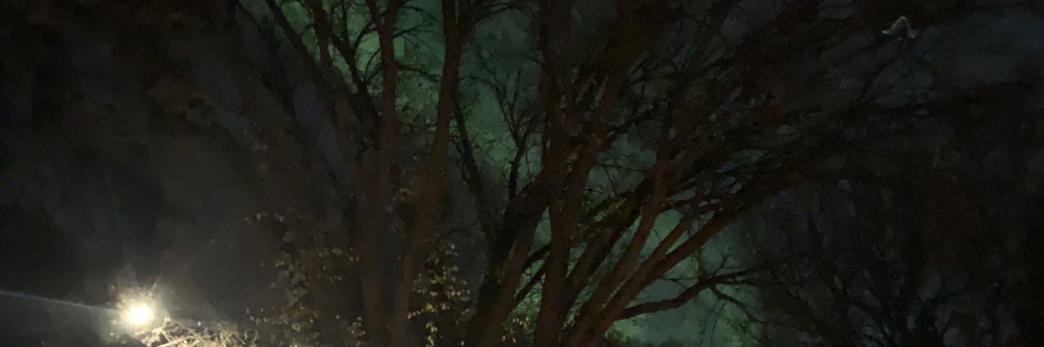 jessie_kai's profile banner image