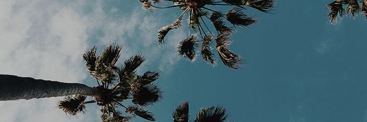 vitoriacsr's profile banner image