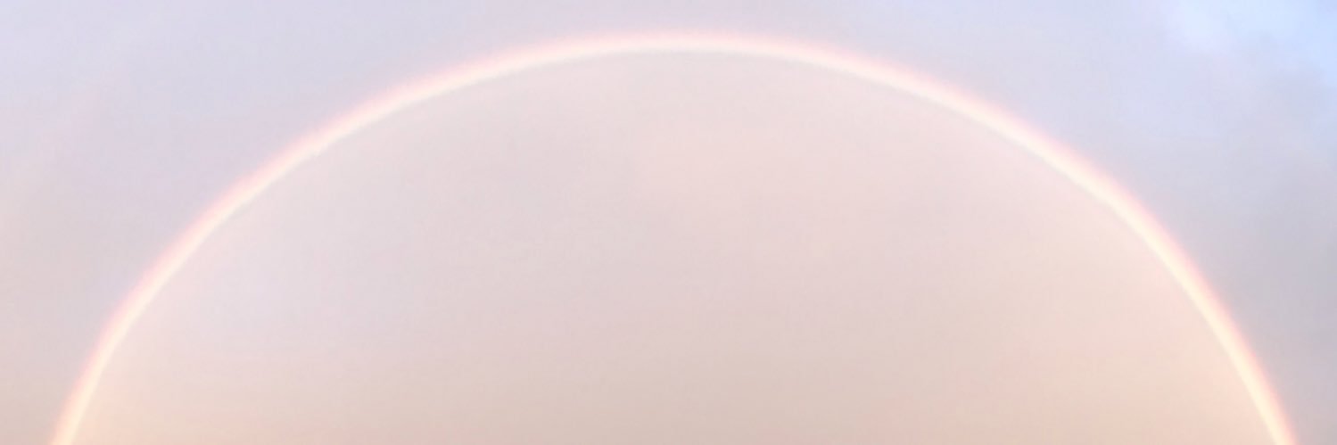 Pepinillla's profile banner image