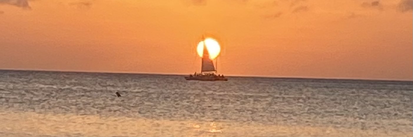 david brennan banner