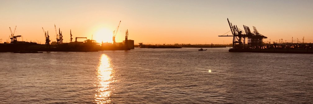 Carsten Sander banner