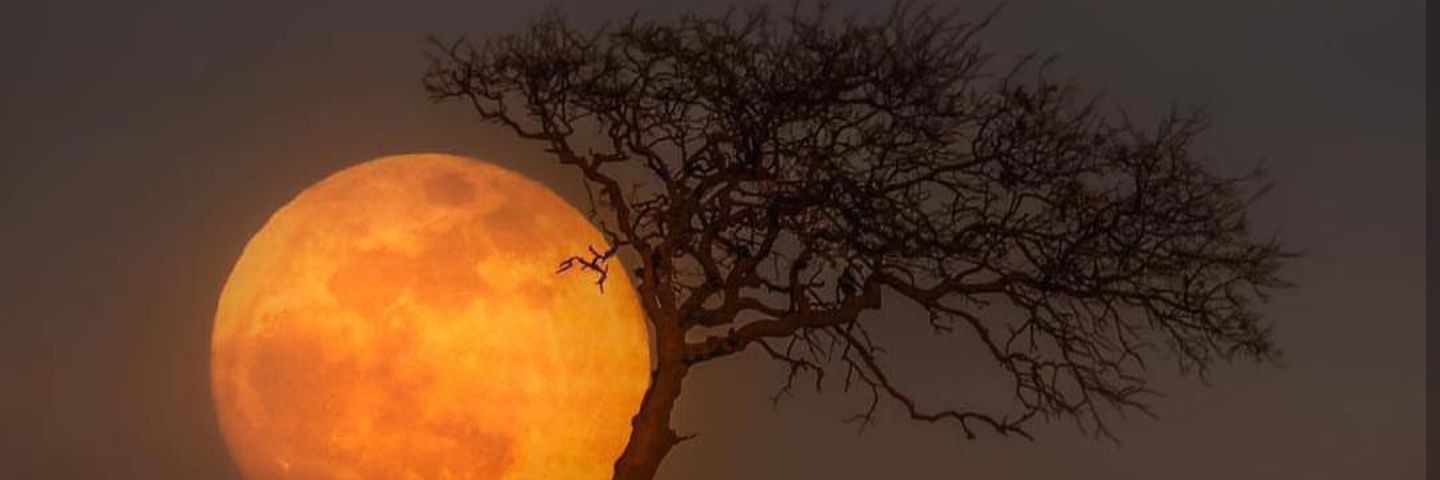 Enlightmentlab's profile banner image
