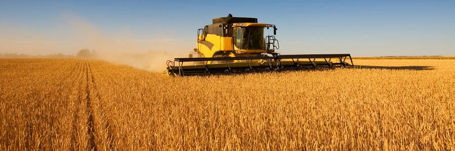 WheatPro's profile banner image