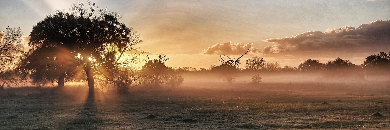 kmac1369's profile banner image