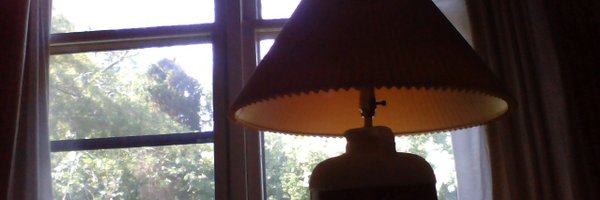 nwillow9 Profile Banner