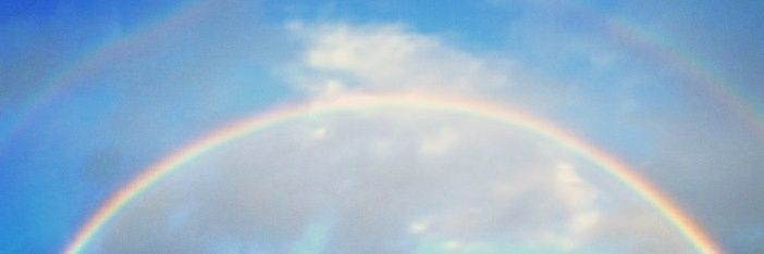 みなみ🐬✨💐 banner