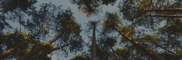 Rob_Anny's profile banner image