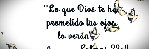 Roxy_BR_GDLC's profile banner image