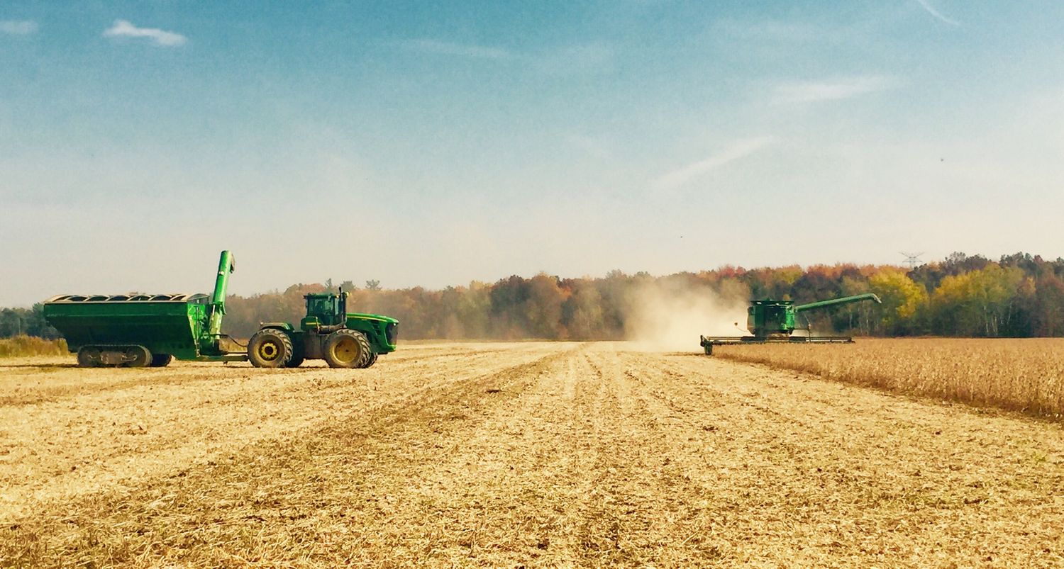 Steve Koeman © banner