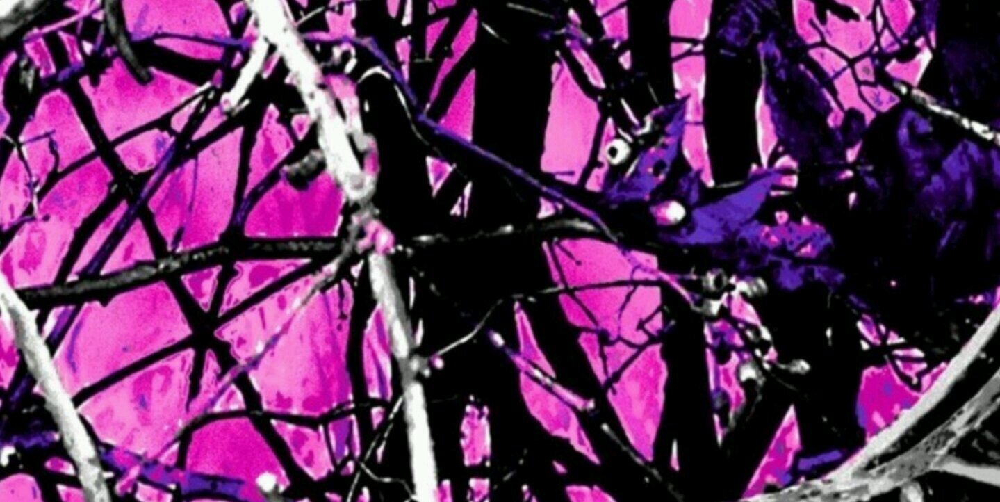 SandraDee_74's profile banner image